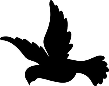 Flying Dove PNG