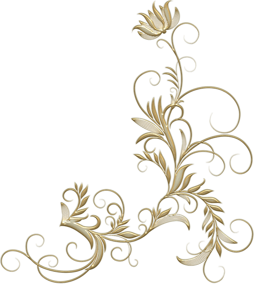 Golden Floral Border PNG