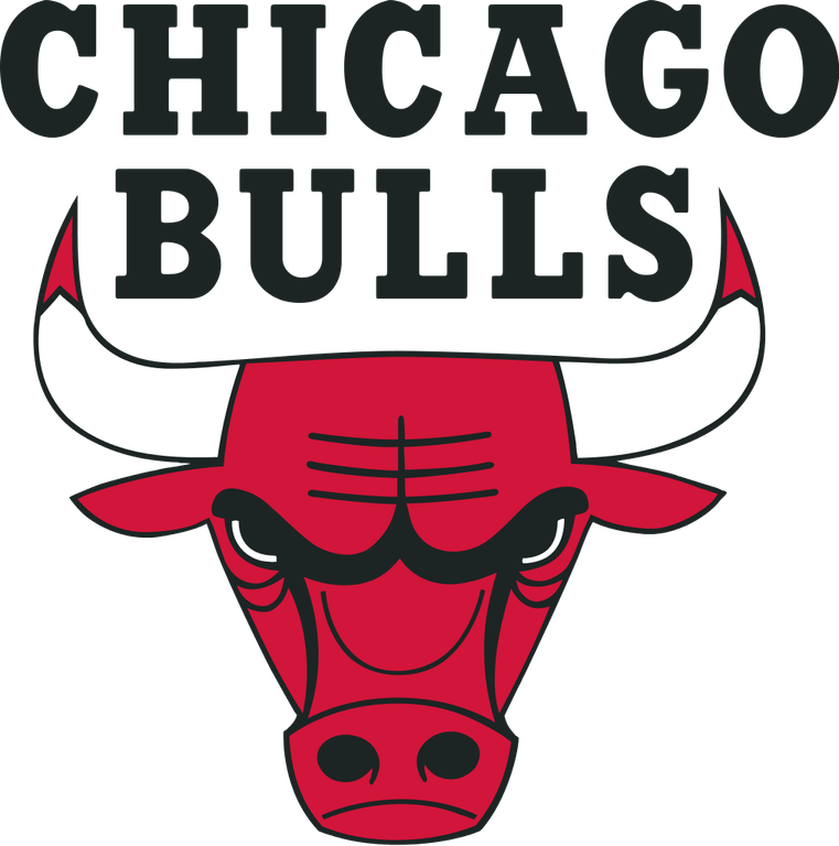 Chicago Bulls Logo PNG