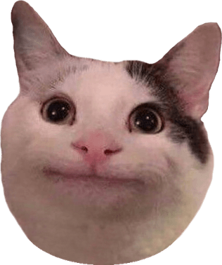 Sad Cat Meme PNG