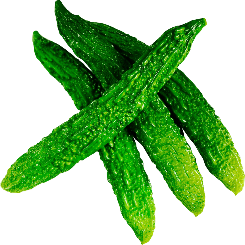 Bitter Gourd PNG