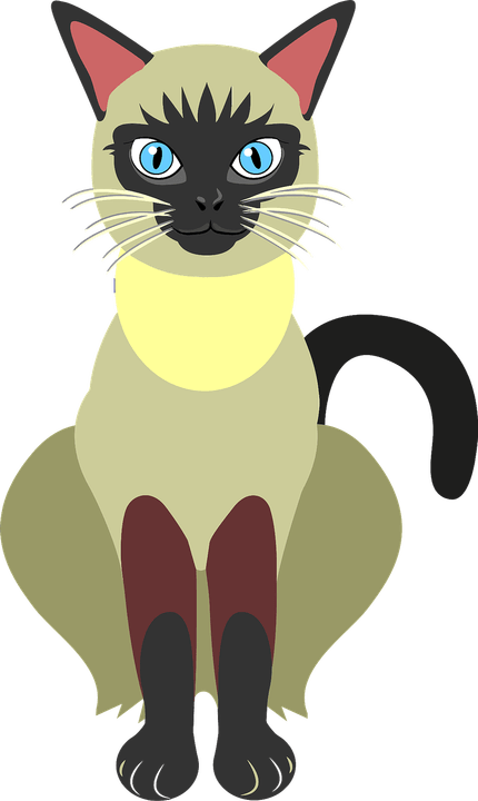 Siamese Cat PNG
