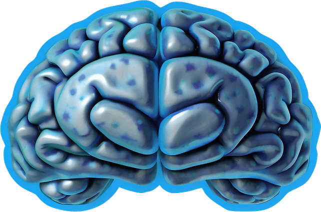 Brain Emoji PNG