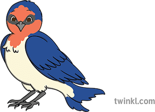 Fairy Bird PNG