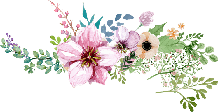 Watercolor Floral Frame PNG
