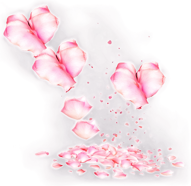 Falling Rose PNG