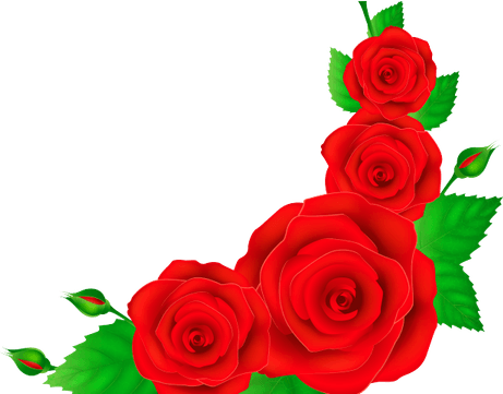 Red Rose Border PNG