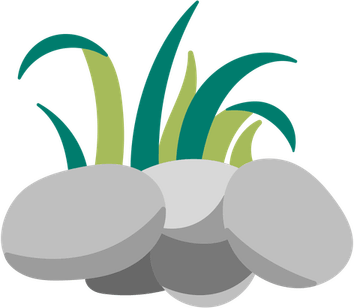 Rock With Grass PNG