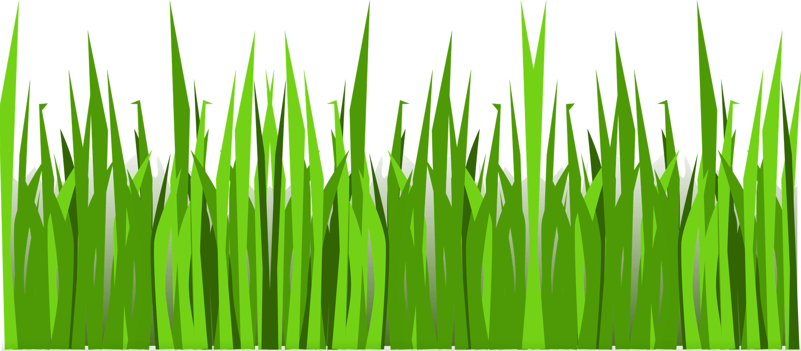 Wild Grass PNG