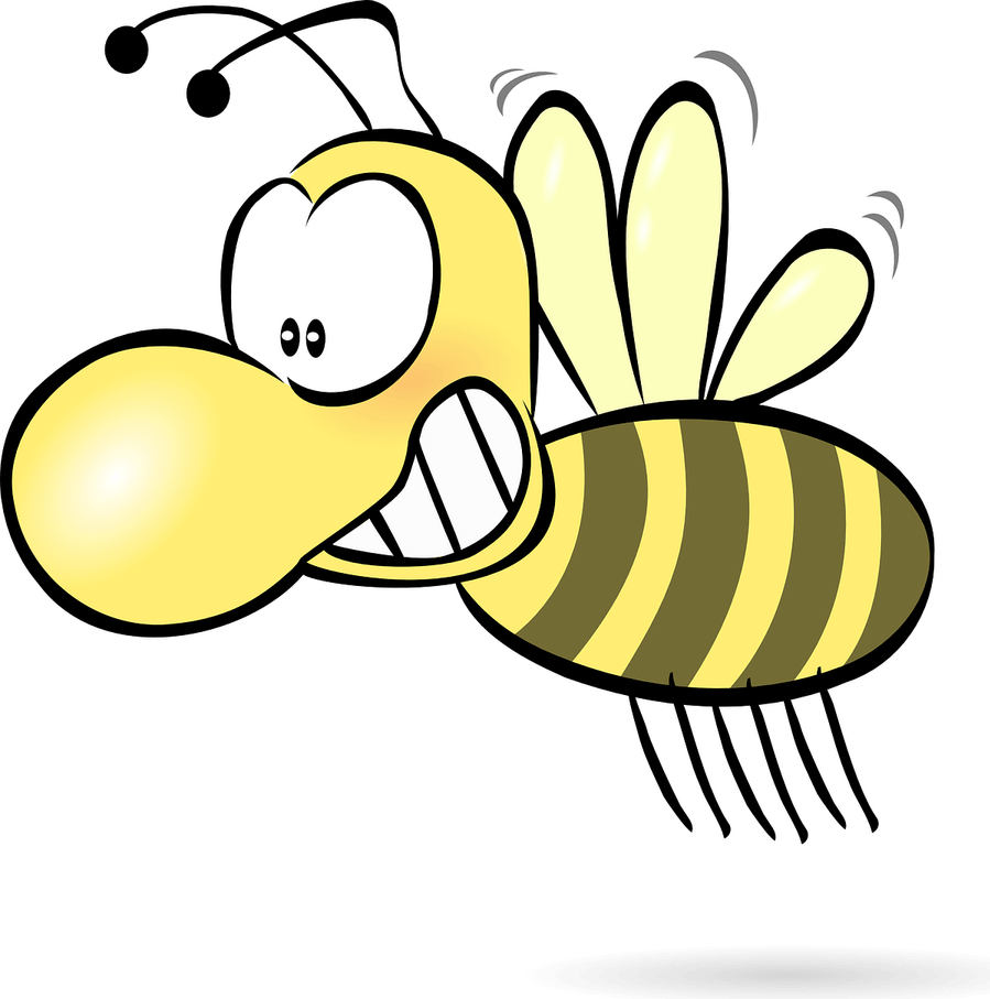 Wasp Insect PNG