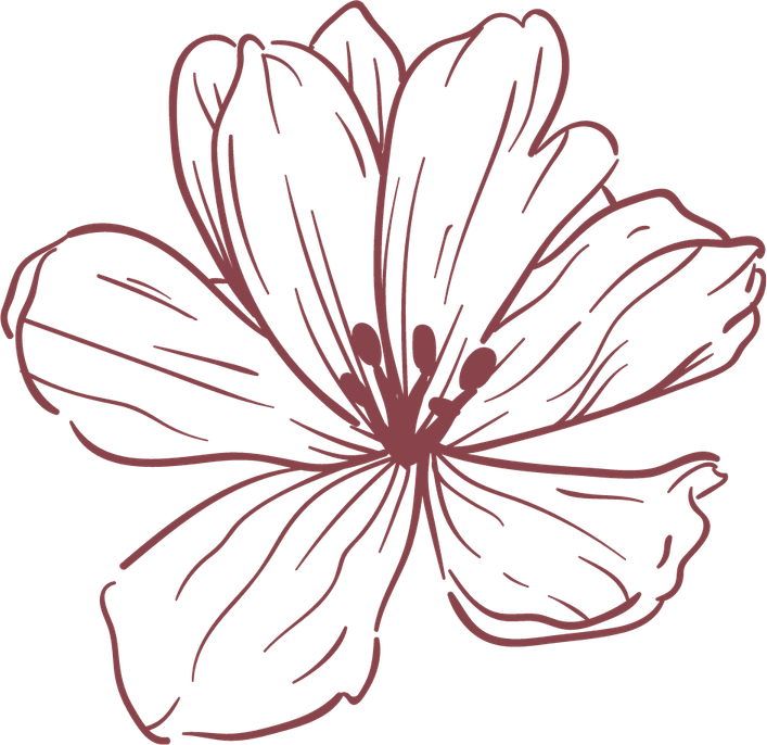 Aesthetic Flower PNG