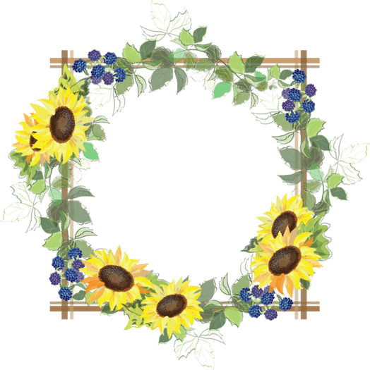 Sunflower Frame PNG