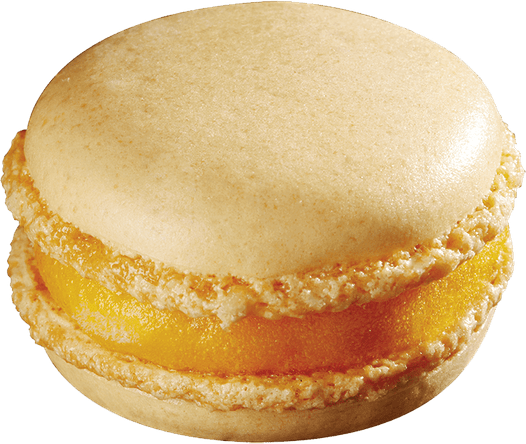 Macaron PNG