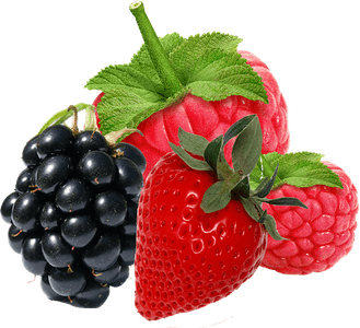 Berries PNG