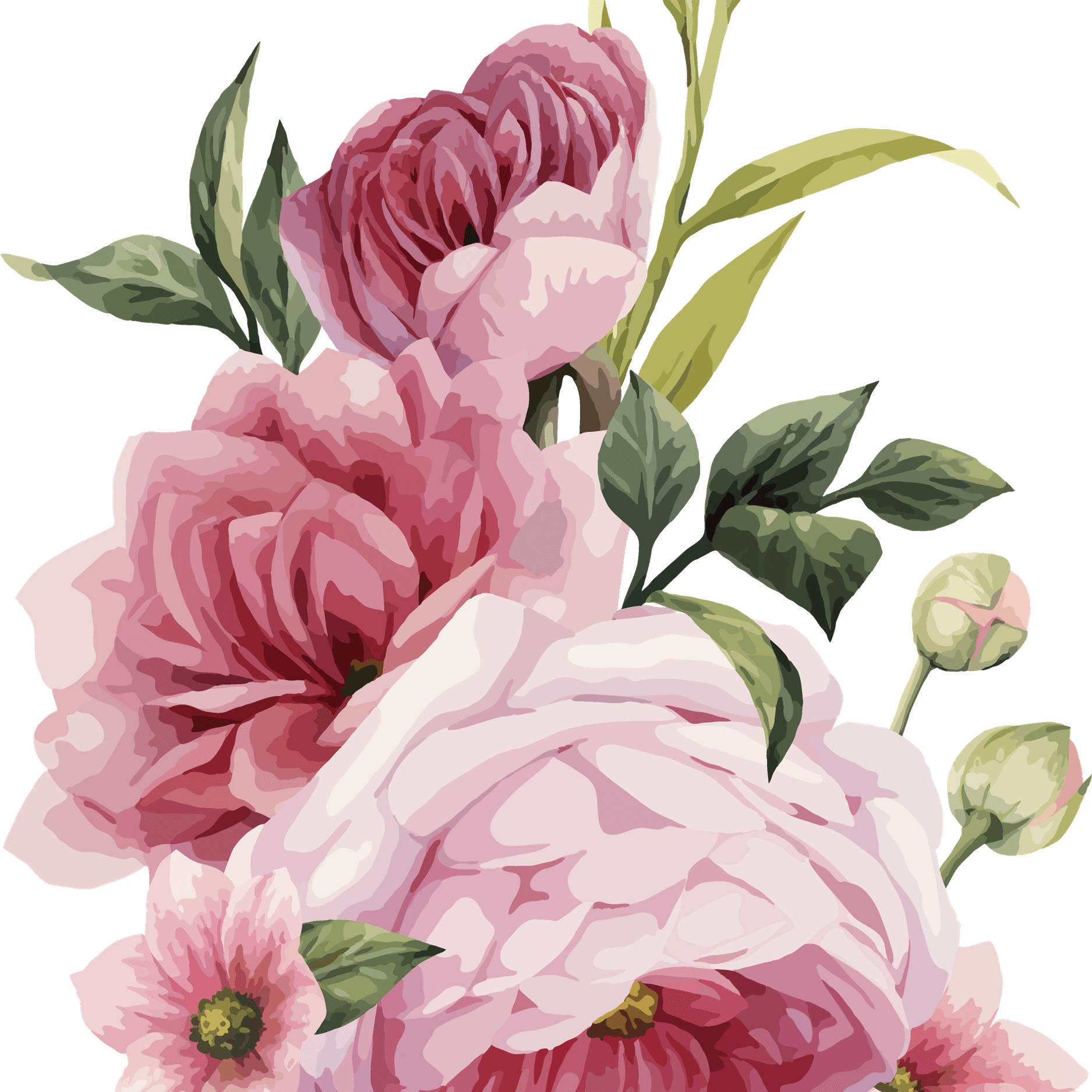 Drawing Of Roses PNG