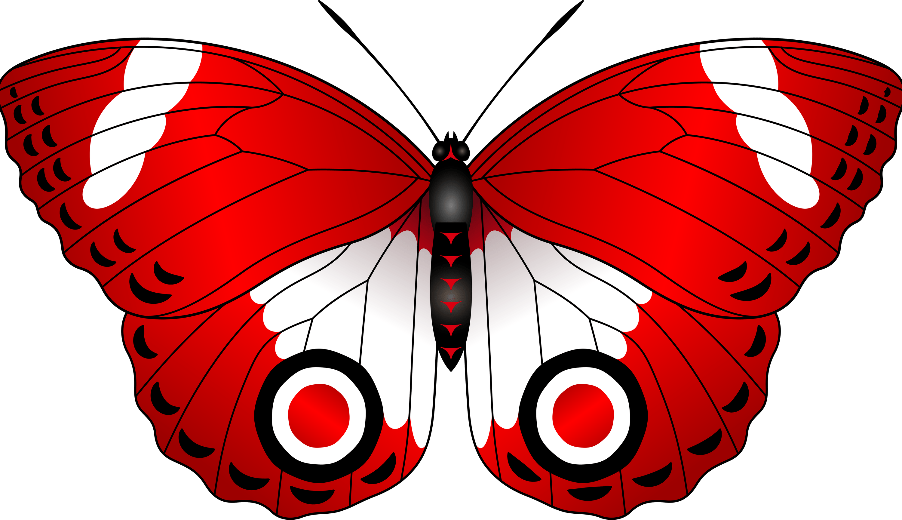 Red Butterfly PNG