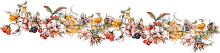 Wedding Invitation Flower Border PNG