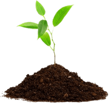 Agriculture PNG
