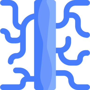 Veins PNG