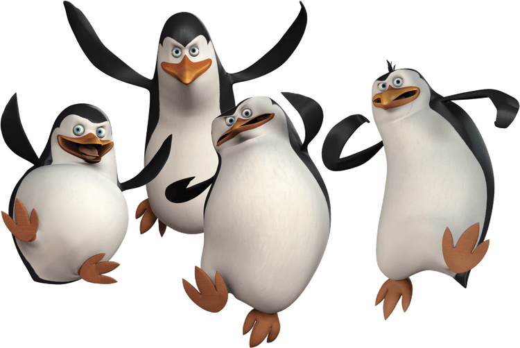 King Penguin PNG