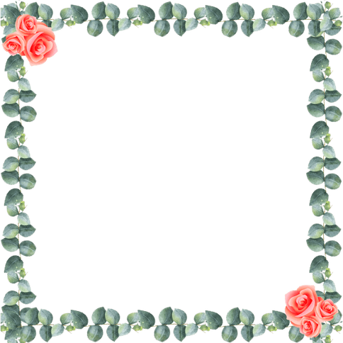 Border Flower PNG