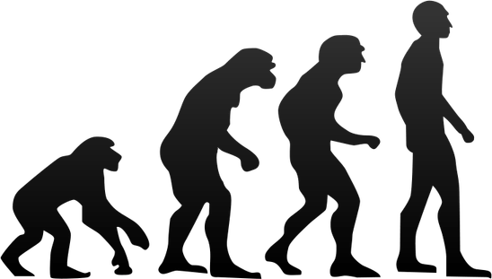 Human Being PNG