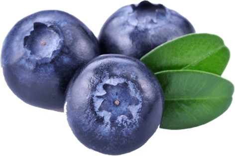 Blueberries PNG