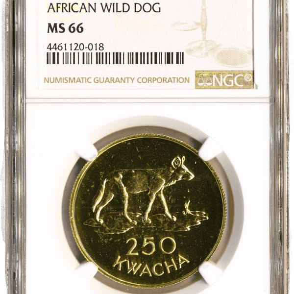 Zambian Money PNG