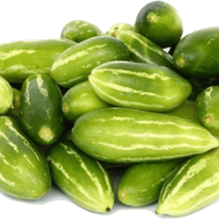 Ivy Gourd PNG