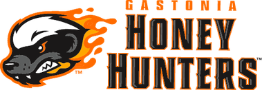 Gastonia Honey Hunters PNG