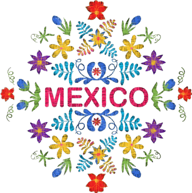 Mexican Flower PNG