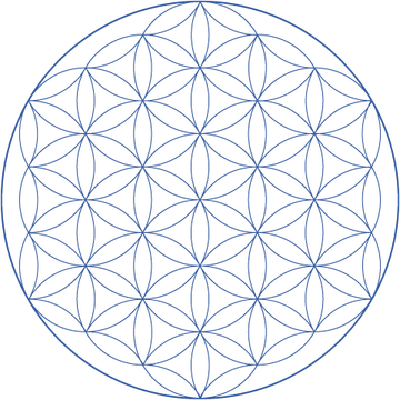 Flower Of Life PNG