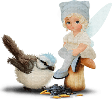 Fairy Bird PNG