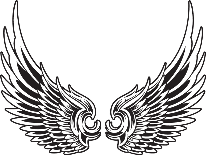 Eagle Wing PNG
