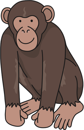 Chimp PNG