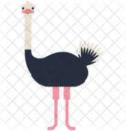 Emu PNG