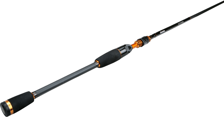 Fishing Rod PNG