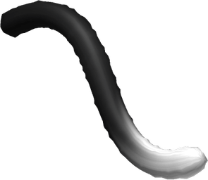 Cat Tail PNG