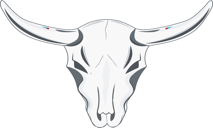 Longhorn Skull PNG
