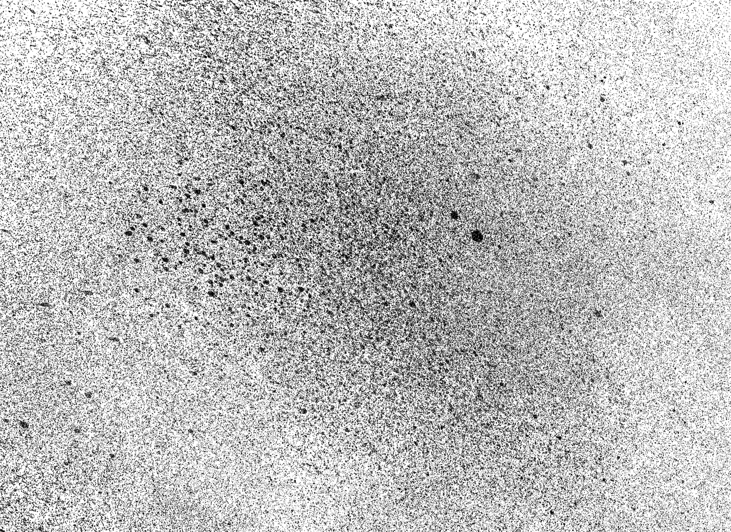 Grain Texture PNG