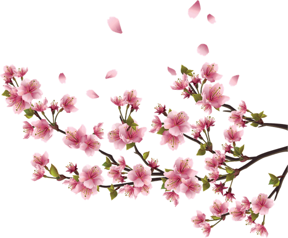 Blossom Tree PNG