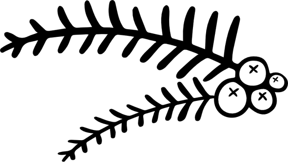 Leaves Border PNG