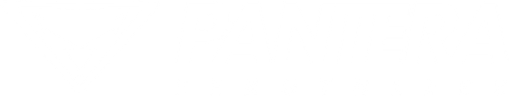Pantera Band PNG