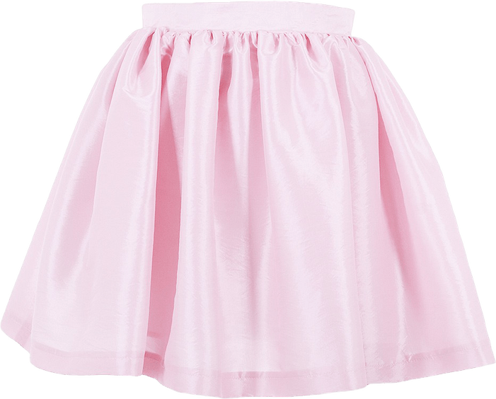 Skirt PNG