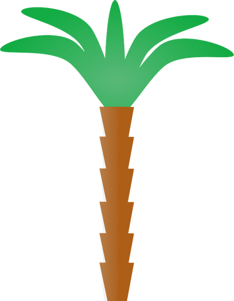 Palm Tree 2d PNG