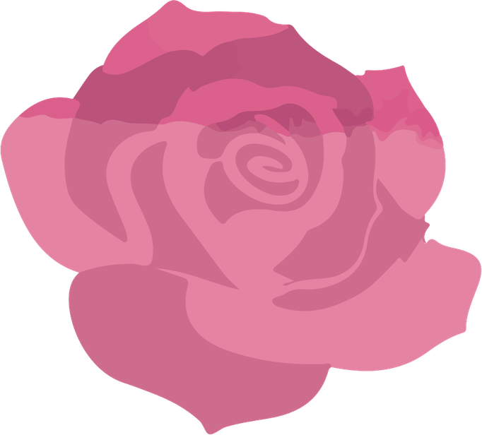 Rose Aesthetic Theme PNG