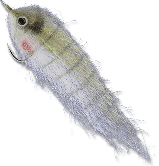 Bait Fish PNG