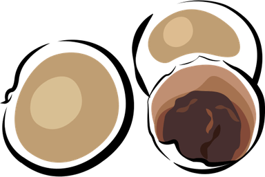Longan PNG