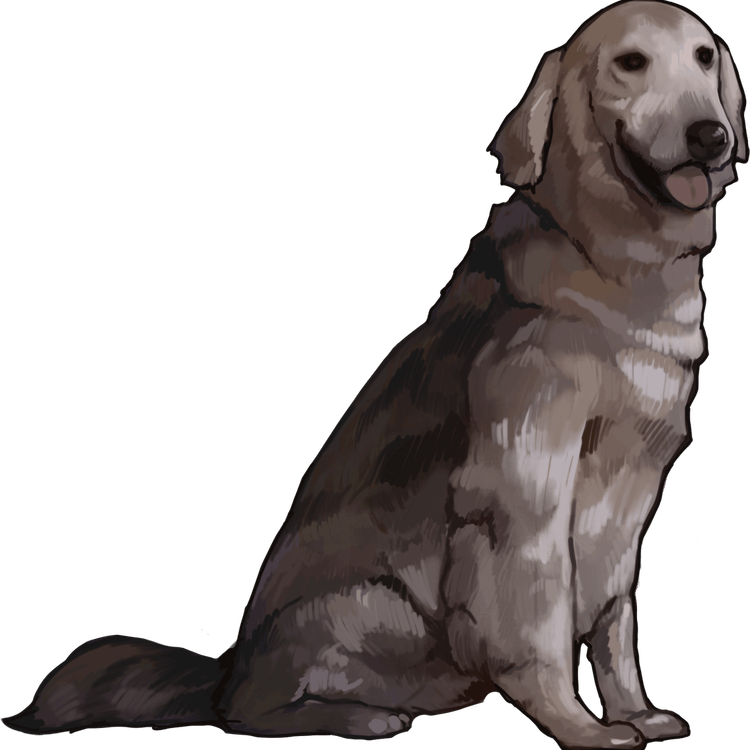 Ace Combat Dog PNG