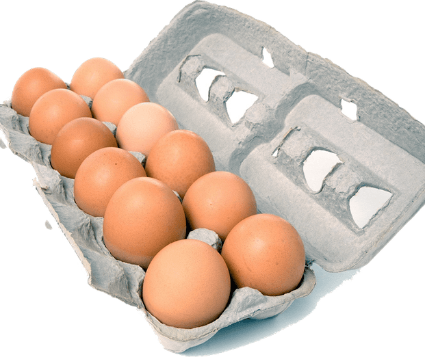 Brown Egg PNG